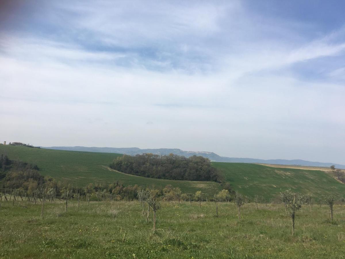 Cordella In Valdorcia Truffle And Olive Oil Resort 몬탈치노 외부 사진