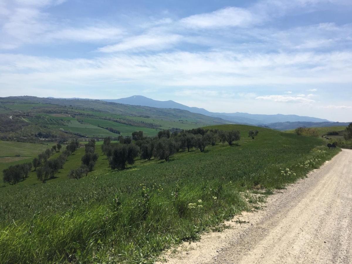 Cordella In Valdorcia Truffle And Olive Oil Resort 몬탈치노 외부 사진